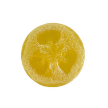Load image into Gallery viewer, Tropical Paradise Luffa Soap
